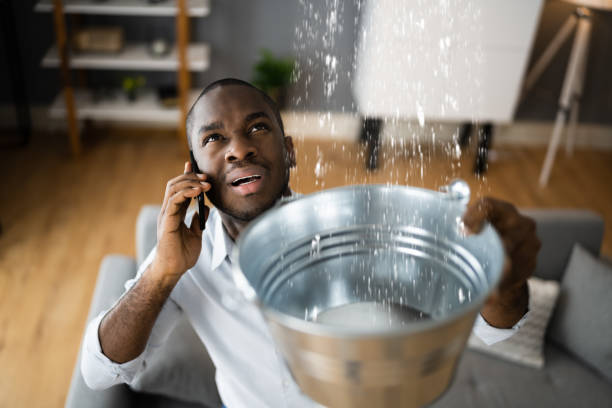 Best Basement water damage restoration  in Corrigan, TX