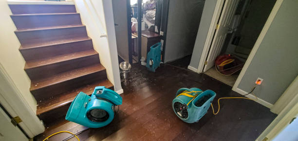 Best Local water damage restoration  in Corrigan, TX