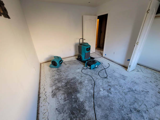 Trusted Corrigan, TX Water damage restoration Experts