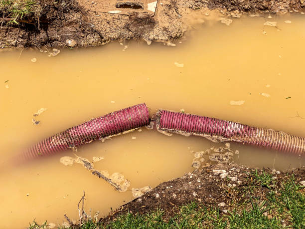 Best Fire Damage Restoration  in Corrigan, TX
