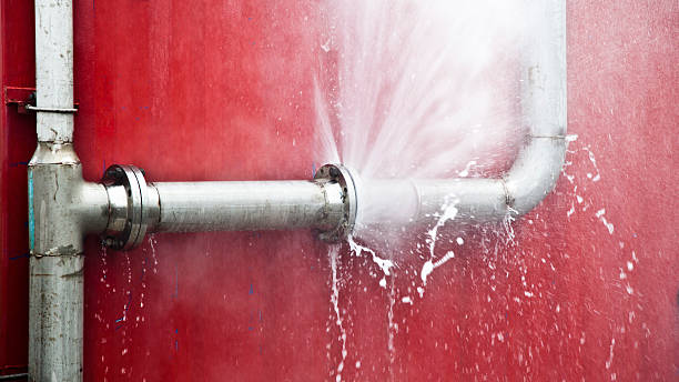 Best Flood restoration services  in Corrigan, TX